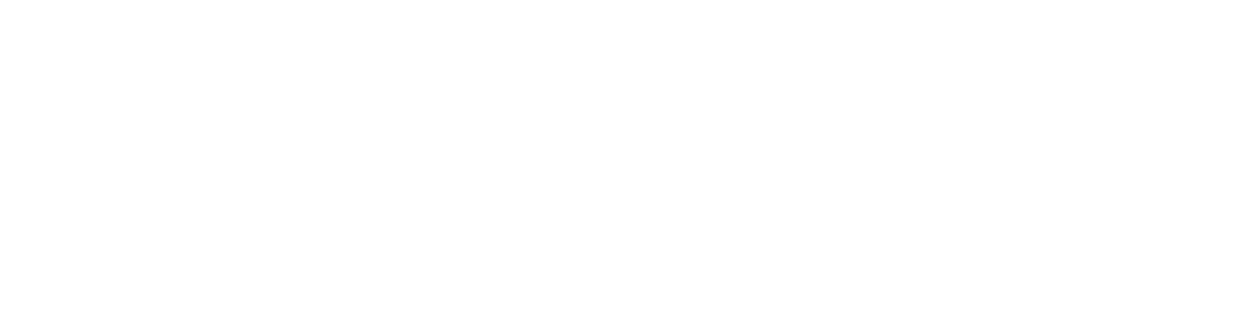 Muslim Women’s Wellness